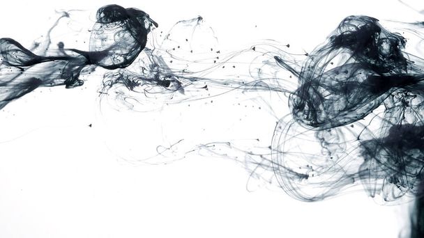 Black cloud of ink on a white background. Abstract background. Drops of black ink in water. Colored acrylic paints in water. Black watercolor ink in water on a white background. - Foto, Imagem