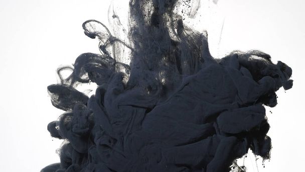 Black cloud of ink on a white background. Black watercolor ink in water on a white background. Colored acrylic paints are mixed in water. Awesome abstract background. - Photo, image