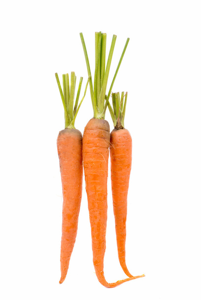 Fresh carrots - Photo, Image