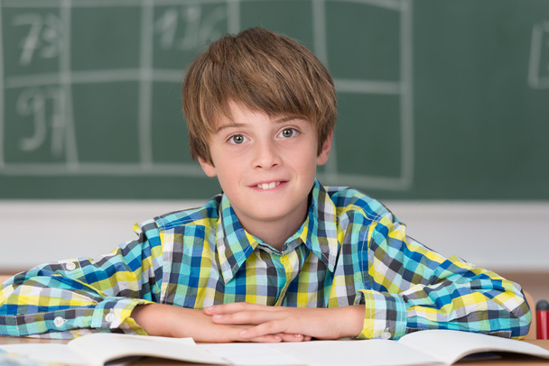 Smiling young schoolboy in classroom - Фото, изображение