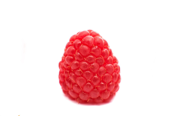 Red Raspberry - Photo, Image