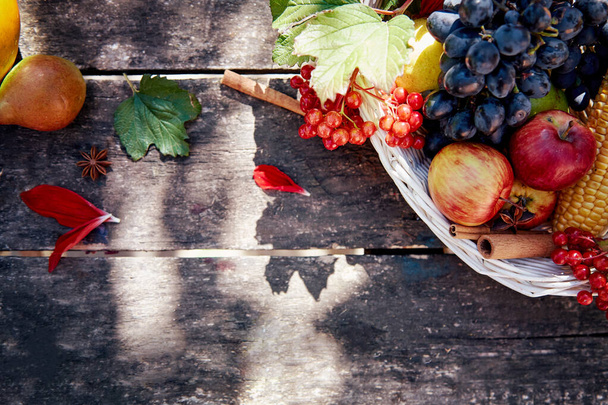 Syksy maalaismainen asetelma: viinirypäleet, päärynät, viburnum ja kaneli tikkuja trendikäs puinen pöytä koristeet. Kiitospäivän konsepti. Ulkosyksyn tausta - Valokuva, kuva