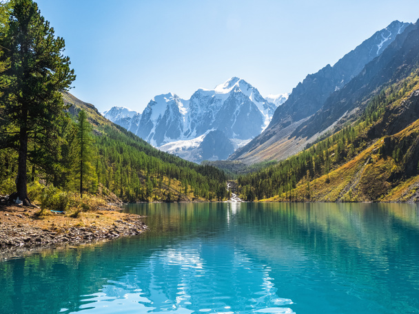 Amazing clear mountain lake in forest among fir trees in sunshine. Bright scenery with beautiful turquoise lake against the background of snow-capped mountains. Lower Shavlin Lake - Photo, Image