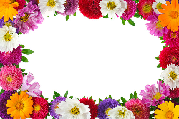 Floral frame - Photo, Image