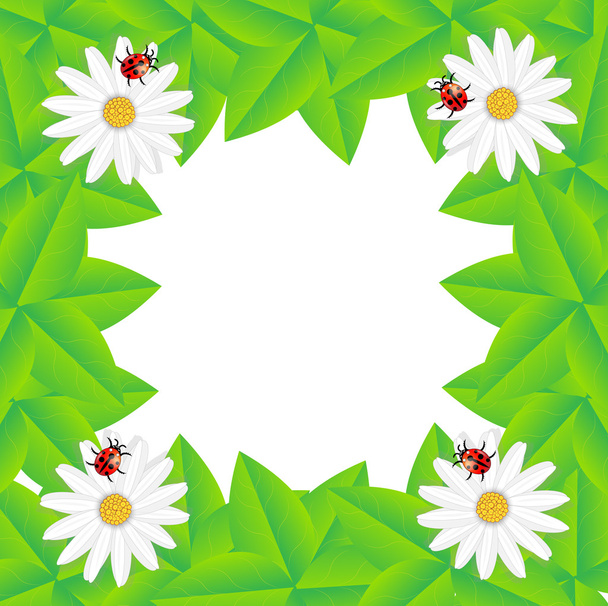 background  with flowers and ladybirds - Vector, Imagen