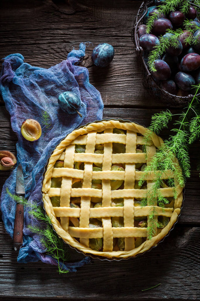 Hot plum pie as summer dessert. Tart with plums. Homemade hot tart in summer. - 写真・画像