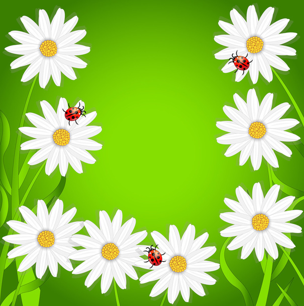 background with the flowers of camomile and ladybirds - Vektor, kép