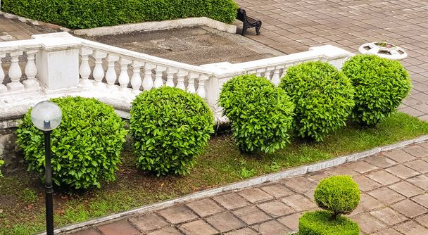 Egy kőlépcső korlátos korláttal leereszkedik a kertbe egy jól ápolt területtel és szépen nyírt bokrokkal.. - Fotó, kép