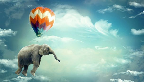 Huge Elephant floating or flying with air balloon with sky and clouds background. Fantastic surreal fantasy illustration. Freedom concept.Imagination.Surrealism. Dream. Banner copy space - Photo, Image