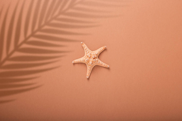 Starfishes sob a sombra de uma palmeira em um fundo marrom. Conceito de praia e férias. Banner. Deitado plano, vista superior. - Foto, Imagem