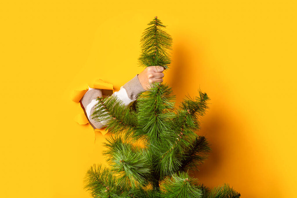 Hand holds a Christmas tree on a yellow background. Concept for New Years and Christmas Eve. Banner. - Photo, image