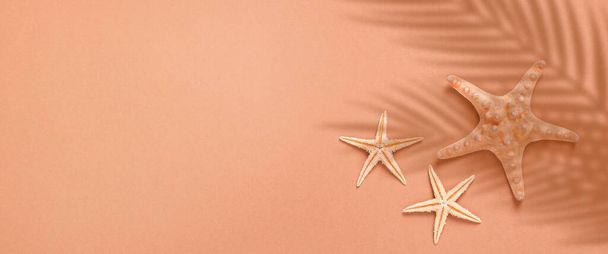Starfishes under the shadow of a palm tree on a brown background. Beach and vacation concept. Banner. Flat lay, top view. - Photo, Image