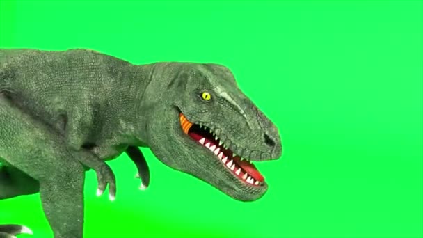 Tyranosaurus dinosaurus. Chodící tyranosaurus. Chromakey zelené obrazovky. Bezešvé smyčka 3d vykreslení - Záběry, video