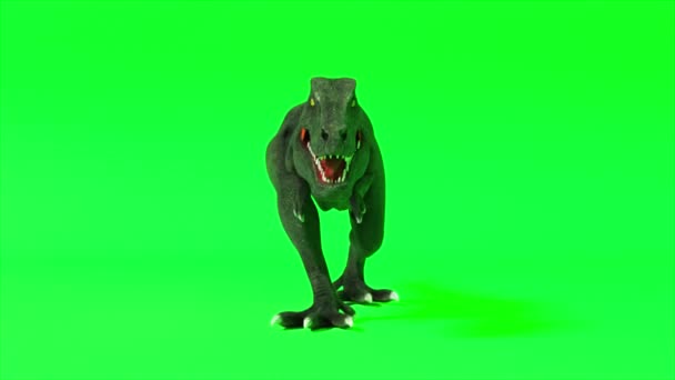 Tyranosaurus dinosaurus. Chodící tyranosaurus. Chromakey zelené obrazovky. Bezešvé smyčka 3d vykreslení - Záběry, video
