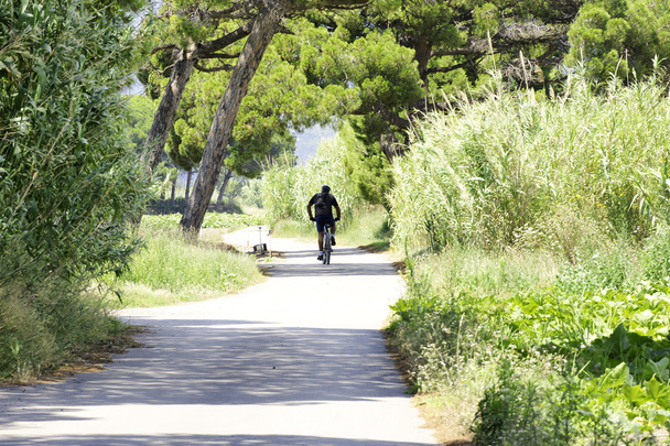 Radfahrer zu Fuß im Delta des Llobregat - Foto, Bild