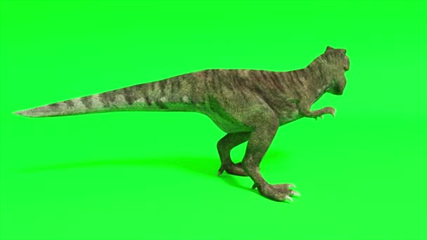 Tyranosaurus dinosaurus. Trenosaurus křičí a je připraven zaútočit. Chromakey zelené obrazovky. Bezešvé smyčka 3d vykreslení - Záběry, video