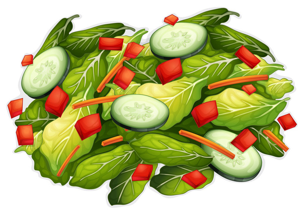 saláta - Vektor, kép