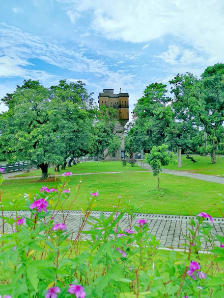 beautiful view of the park with green trees  - Φωτογραφία, εικόνα