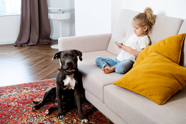 una niña rubia en casa en el sofá con un teléfono móvil y un perro grande, niños y gadgets. - Foto, imagen