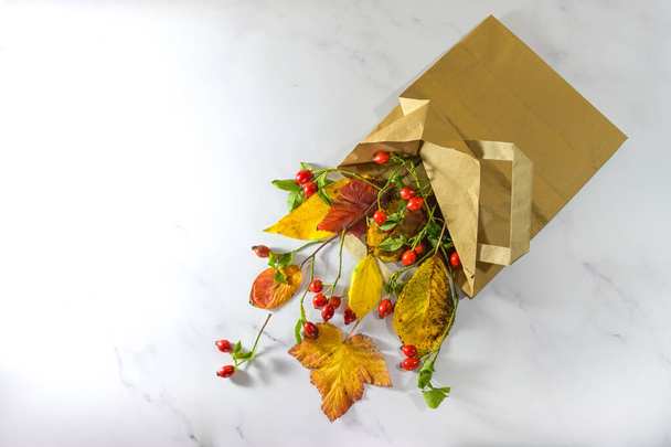 Autumn is coming, colorful leaves and rose hips in a shopping paper bag on a light gray marble background, seasonal concept for sustainable sale and leisure activity, copy space, flat lay from above - Фото, зображення