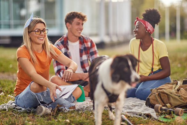 Группа студентов учится на улице в парке с собакой - Фото, изображение