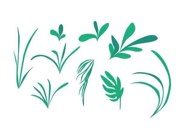Set of hand drawn vector. Cartoon illustration. Illustration set of green leaves in various kind - Vector, Image