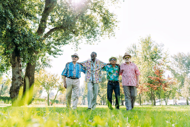 group of senior friends playing at the park. Lifestyle concepts about seniority and third age - Foto, imagen