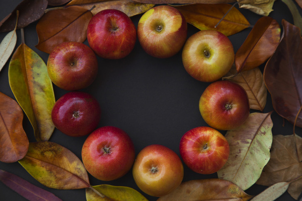 Autumn background with Red apples - Φωτογραφία, εικόνα