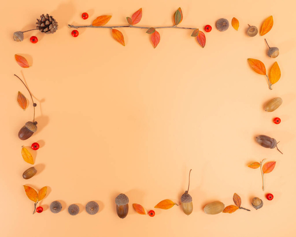 Turuncu arka planda sonbahar çerçeve kompozisyonu, çocuklar için kolay doğa zanaatı - Fotoğraf, Görsel