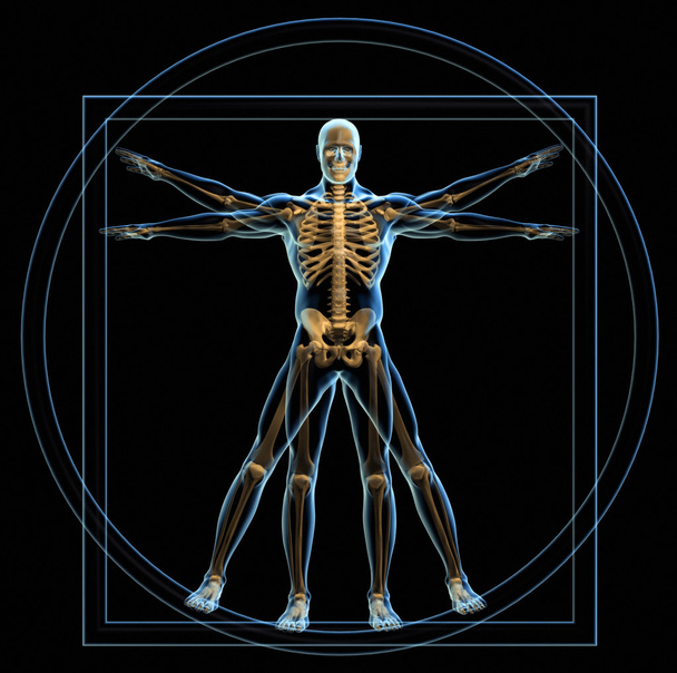 Vitruvian Man - Fotografie, Obrázek