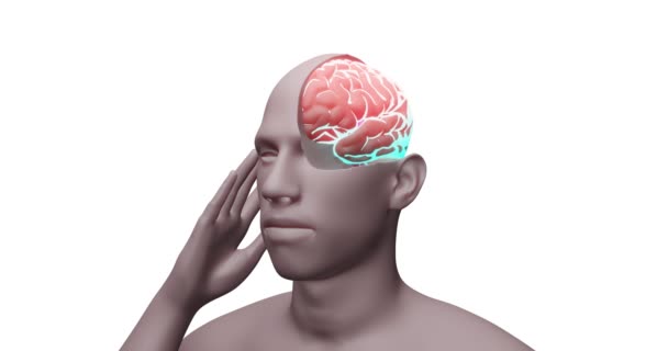 3D stilisierte Animationen zeigen einen Mann, der seine Hand in der Nähe seiner Schläfe hält, das Gehirn pulsiert mit rotem Licht. Schnittwunde am Kopf, innerhalb des Schädels. Schmerzen, Schlaganfall, Krebs, Röntgen, Diagnose Telepathie Medium Genie - Filmmaterial, Video