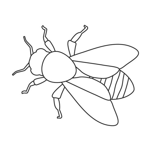 Honey bee vector outline icon. Vector illustration animal of honeybee on white background. Isolated outline illustration icon of honey bee. - Vector, imagen