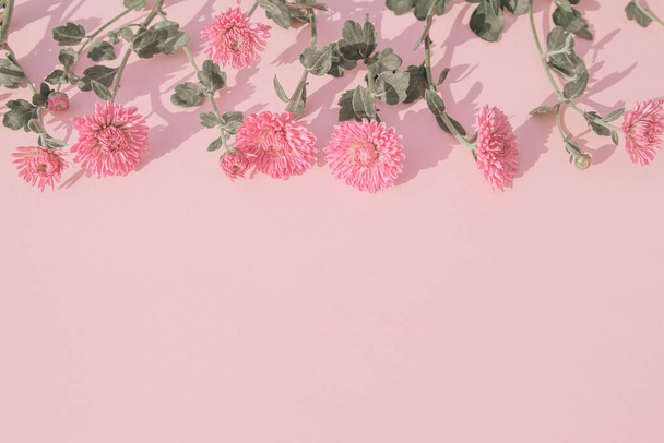 Creatieve lay-out van chrysanten bloemen op pastelachtergrond. Mooie bloemenachtergrond. De natuur aanvaardt. Idee voor seizoenskaarten en webdesign. Selectieve focus - Foto, afbeelding