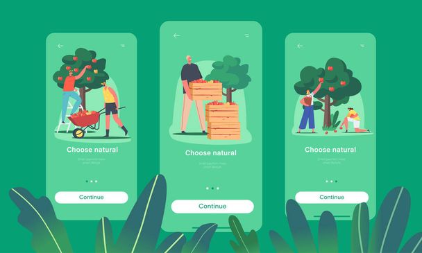 Natural Food Mobile App Page Plantilla de pantalla a bordo. Personajes Cosechando Manzanas en Jardín o Huerto, Agricultura - Vector, Imagen
