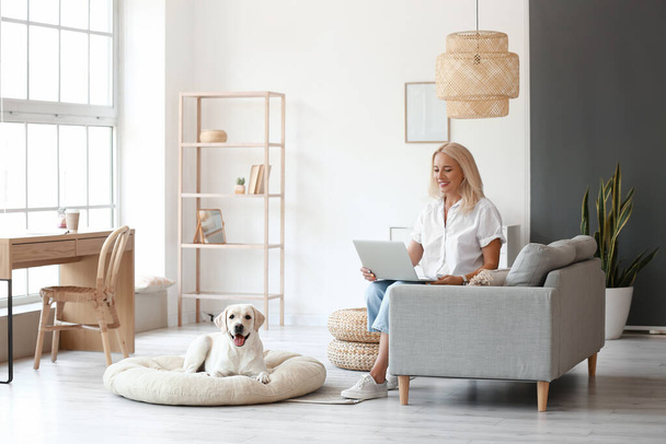 Mature woman with laptop and cute Labrador dog at home - Foto, Imagen