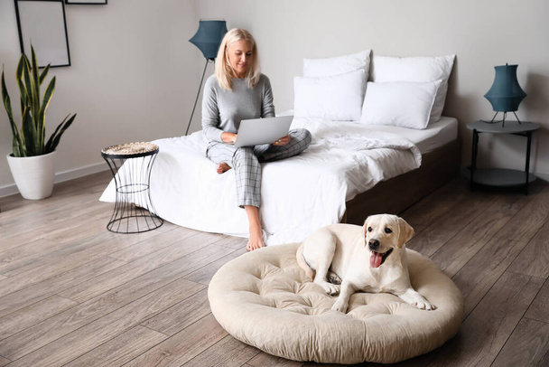 Niedlicher Labrador-Hund liegt zu Hause auf dem Bett - Foto, Bild