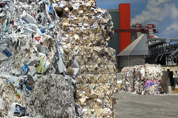 Waste paper processing - Photo, Image