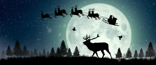 Silueta de renos de pie en el acantilado para ver a Santa Claus volando en sus renos sobre la luna llena por la noche Navidad. - Foto, imagen