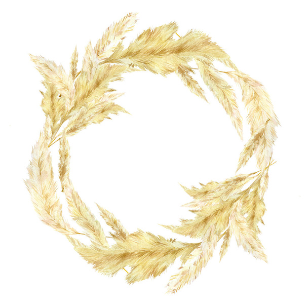Watercolor pampas graas wreath for design boho and modern style . Golden frame south America, feathery flower head plumes for wedding invintation, baby shower card, bridal shower, greeting card - 写真・画像