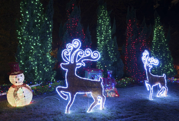 LED świąteczne dekoracje w ogrodzie - Zdjęcie, obraz