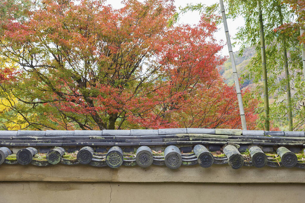 terasa orientální architektury s podzimním lesem - Fotografie, Obrázek
