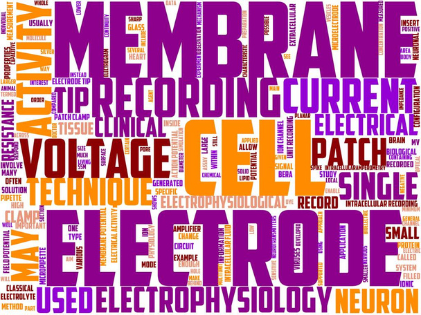elektrofysiologie typografie, wordart, wordcloud, hart, medische, gezondheid, cardiologie - Foto, afbeelding