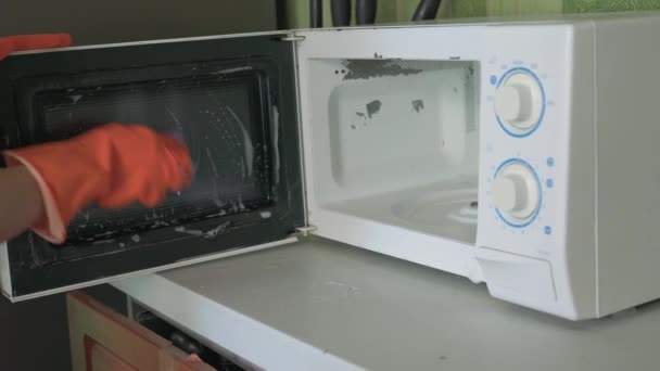 Nettoyage d'un micro-ondes avec du vinaigre - Séquence, vidéo