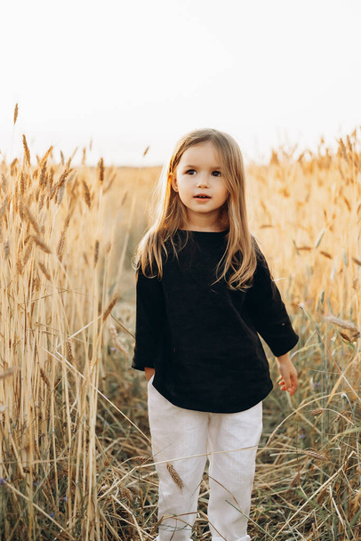 A girl in a stylish dress walking on a field of ripe wheat in the rays of the setting sun. Wheat ear. Rye ears. Selective focus. Setting sun. Walk in the rye field. - Foto, afbeelding