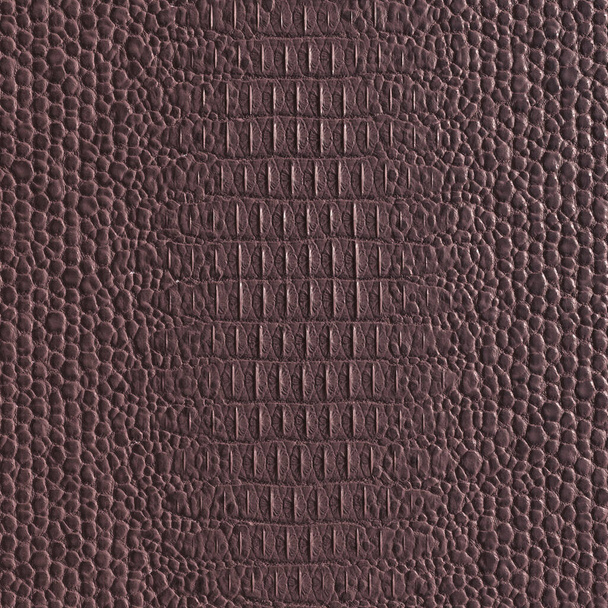 black leather crocodile texture as background, Stock image