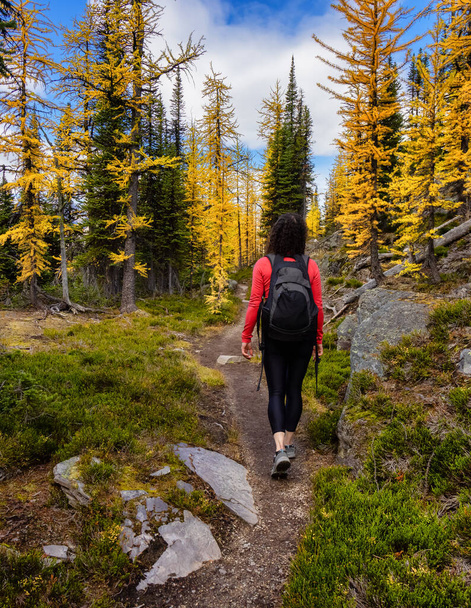 Adventurous Caucasian Woman Hiking on a Trail - Foto, imagen