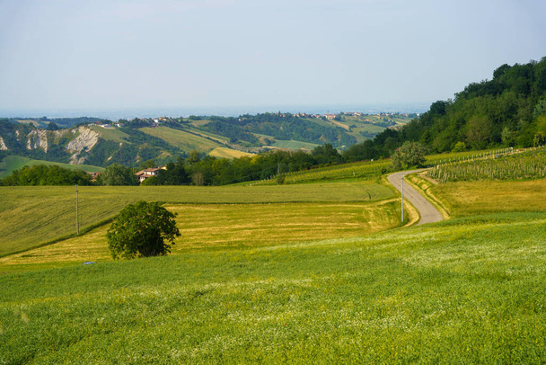 Paisaje rural cerca de Castell Arquato, provincia de Piacenza, Emilia-Romaña, Italia en primavera con viñedos - Foto, Imagen