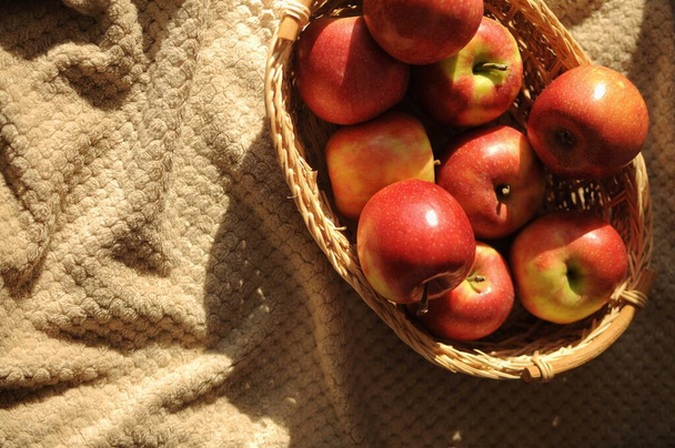 Zbiory w słomkowym koszu z wieloma czerwonymi dojrzałymi jabłkami na draperiowym tle pościeli w domu z przestrzenią do kopiowania - Zdjęcie, obraz