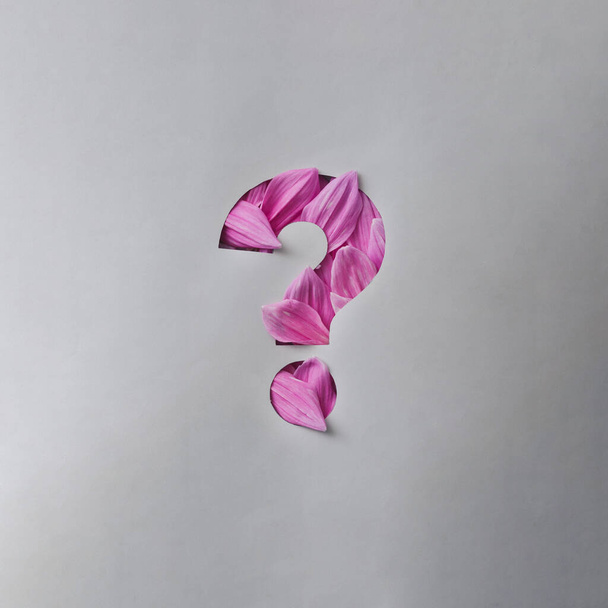 Punto de interrogación cortado de papel gris para revelar pétalos de flores rosadas frescas en una horticultura, temporada de verano o concepto ecológico - Foto, Imagen