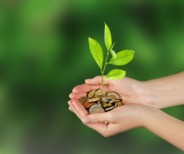 invertir en negocios verdes - Foto, afbeelding